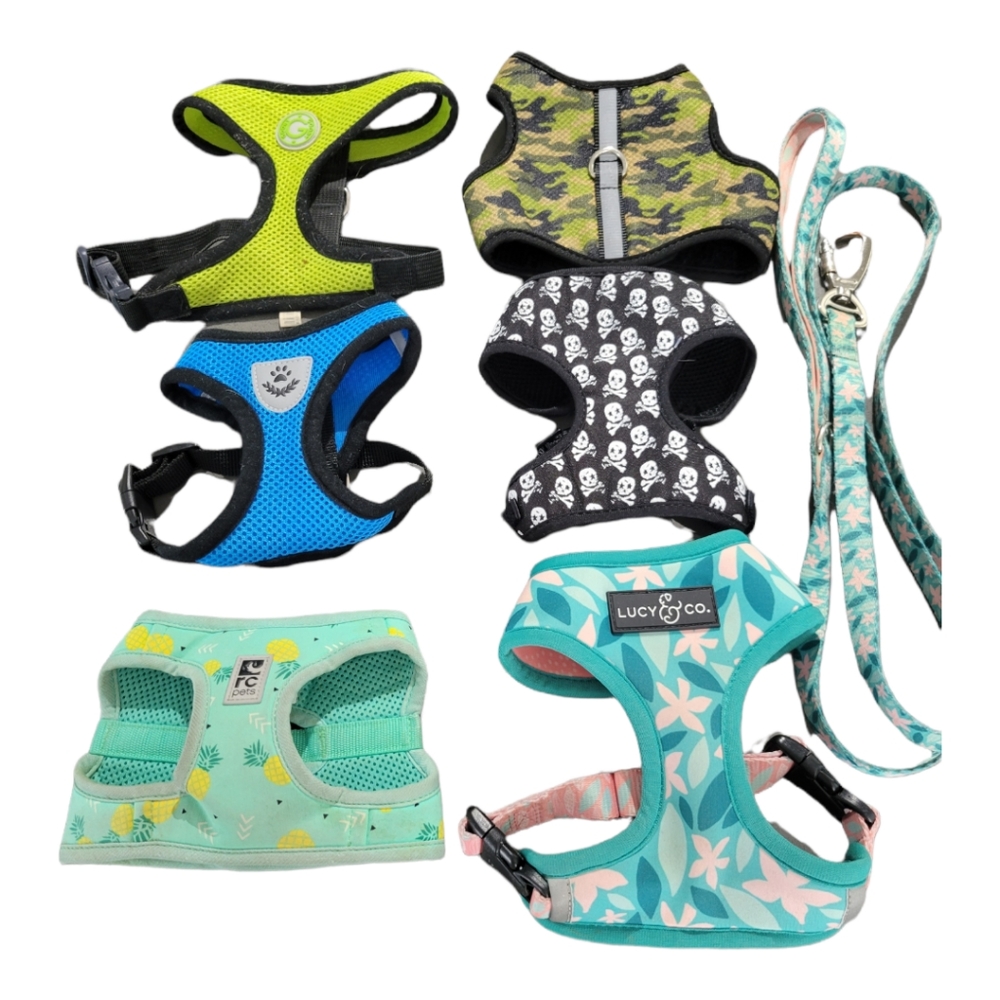 Dog Harnesses & Leash, Lot of 6